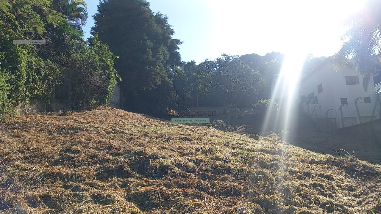 Foto 03