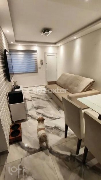 house em Rua Capricho, Vila Nivi - São Paulo - SP