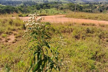 land_lot em Estrada Municipal Luiz Cavenaghi, Residencial Recanto Itapirinha - Itapira - SP