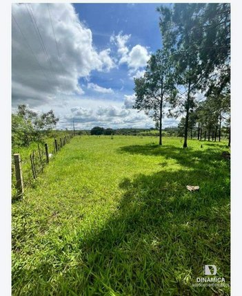 agricultural em Área Rural, Área Rural de Limeira - Limeira - SP
