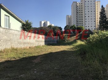 land_lot em Alcides Godói, Mandaqui - São Paulo - SP