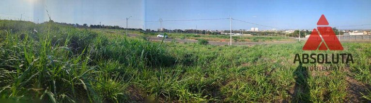 land_lot em Avenida Rodolfo Kivitz, Parque dos Pinheiros - Nova Odessa - SP