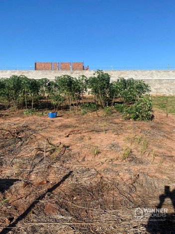 land_lot em Rua João Bergamini, Jardim Ouro Branco - Paranavaí - PR