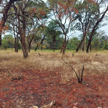 commercial_property em Rua Alécio Rossetto, Tangarás - Bauru - SP