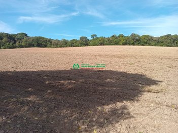 commercial_building em Estrada Sant'Anna, Santana - Cotia - SP