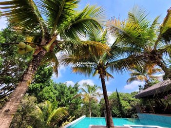 agricultural em Alameda Comendador Doutor Santoro Mirone, Parque da Grama - Indaiatuba - SP