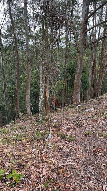 land_lot em Rodovia Anhanguera, Loteamento Capital Ville - Jundiaí - SP