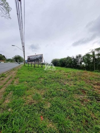 commercial_land_lot em Visconde de Mauá, Colônia Dona Luíza - Ponta Grossa - PR