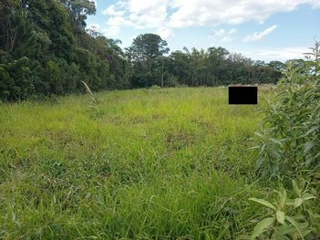 land_lot em Rua José Laurindo Machado, Forquilhas - São José - SC