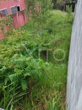 land_lot em Rua Samambaias, Portais (Polvilho) - Cajamar - SP