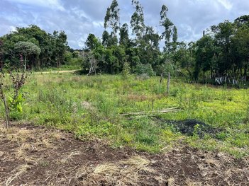 land_lot em Avenida Vereador Domingos Benvenuto Moletta, Colonia Marcelino - São José dos Pinhais - PR