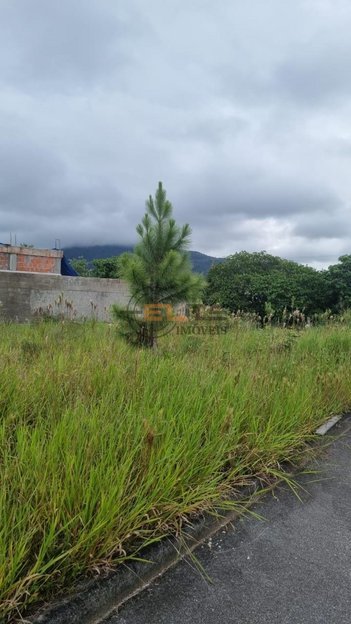 land_lot em Rodovia SC-281, Sertão do Maruim - São José - SC