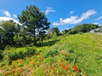land_lot em Padre Santini, Jardim América - São Leopoldo - RS