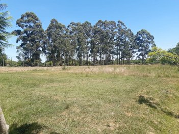 commercial_building em BR-392, Rio Grande - Rio Grande - RS