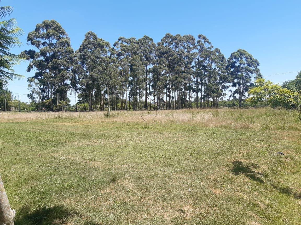 8da201f1-2957-4137-ba31-56d4c94a85d0