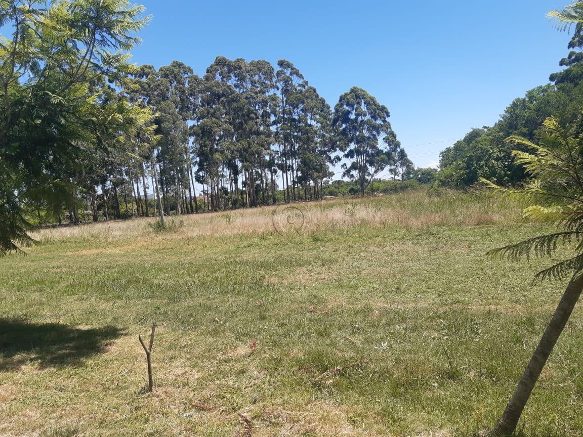 8e86db84-ccec-43e5-b286-160295378b48