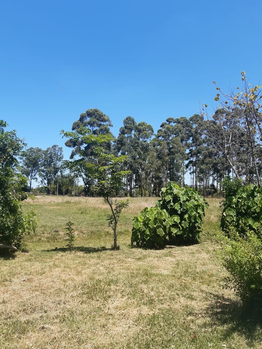 da1ffb03-9fb8-4d09-a9f6-260091e3906e