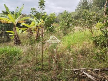 agricultural em Rodovia Coronel Acrísio Martins Prates, Fiuza - Viamão - RS