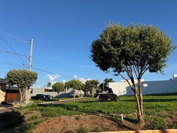 land_lot em Rua Rio Javali, Centro - Porto Rico - PR