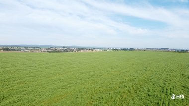 agricultural em Área Rural, Área Rural de Itararé - Itararé - SP