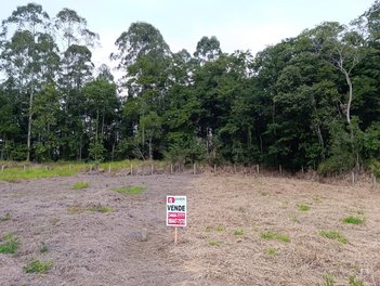 land_lot em Acesso Estadual Rio Maina, Vila Macarini - Criciúma - SC