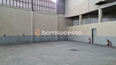 business em Rua Alexandrino da Silveira Bueno, Cambuci - São Paulo - SP