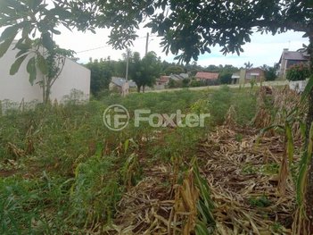 land_lot em Rua Estados Unidos, Concórdia - Ivoti - RS