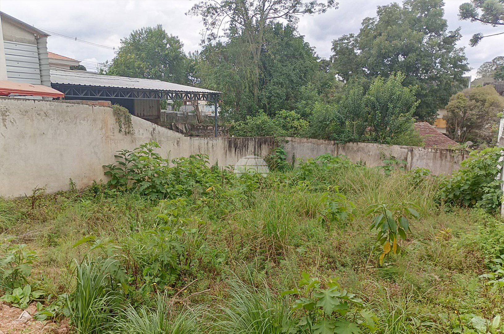 image-3