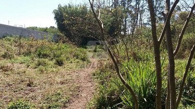 commercial_land_lot em Indio Tibirica, Ipelândia - Suzano - SP