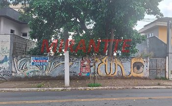 land_lot em Rua Leão XIII, Jardim São Bento - São Paulo - SP
