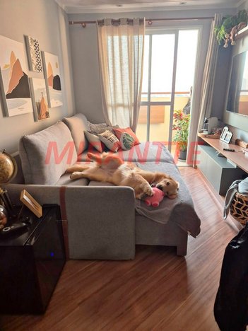 apartment em Avenida Parada Pinto, Vila Nova Cachoeirinha - São Paulo - SP