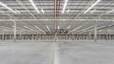 industrial em Estrada Velha Guarulhos-São Miguel, Jardim Santa Mena - Guarulhos - SP