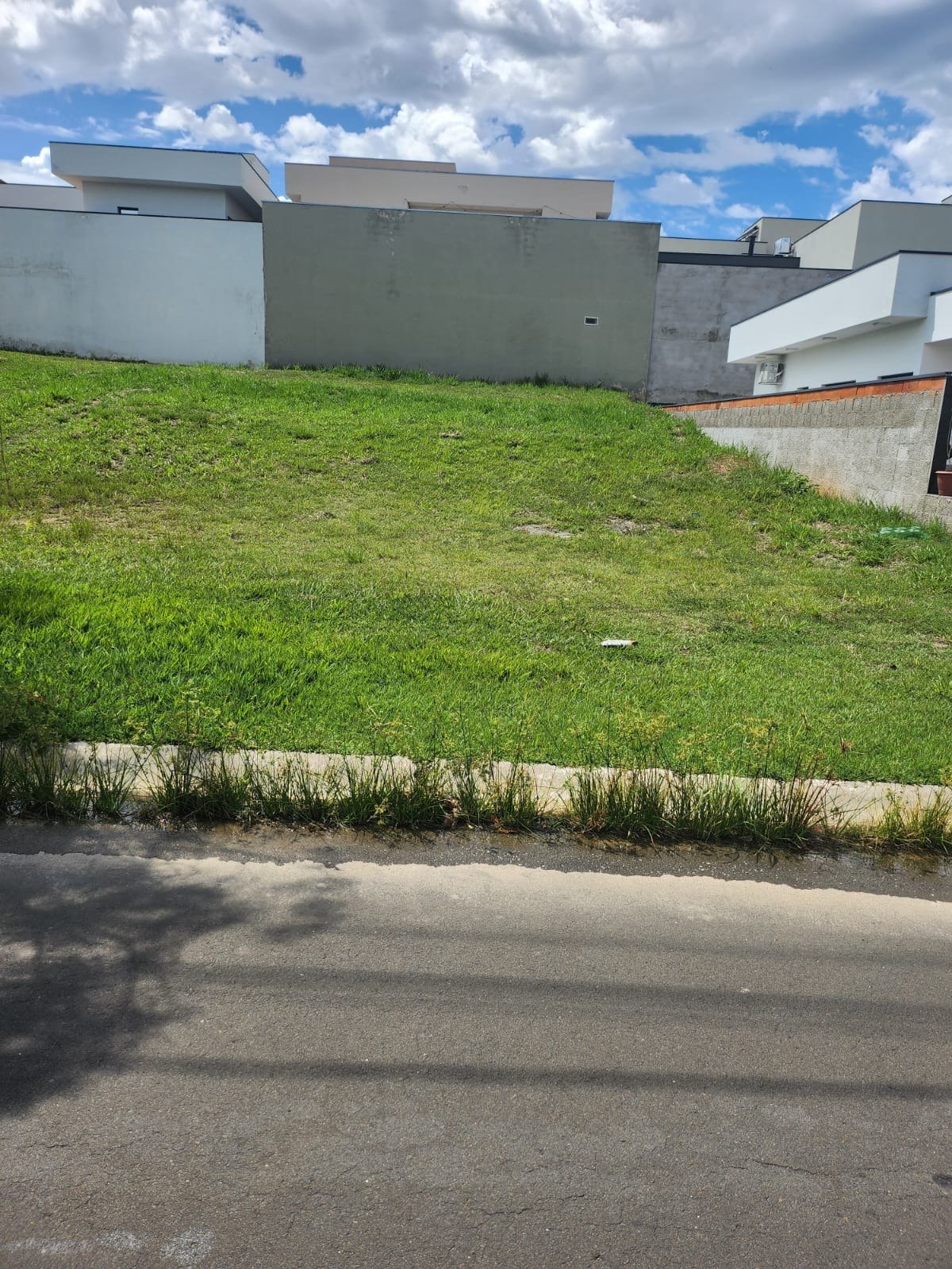 Foto 02
