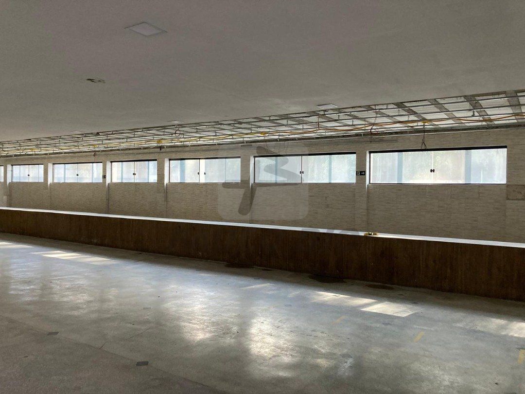 WhatsApp Image 2025-10-13 at 08.05