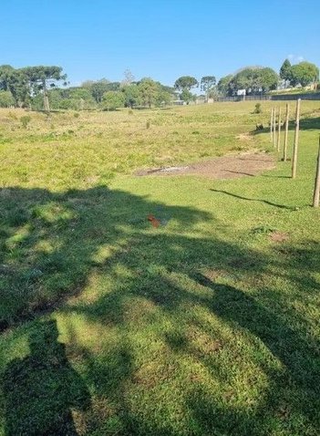 industrial em Avenida Getúlio Vargas, Centro - Piraquara - PR