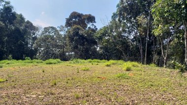 land_lot em Rodovia BR-040, Araras - Petrópolis - RJ