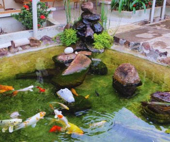 commercial_building em Avenida Antônio Barbieri, Jardim Nova Aparecida - Jaboticabal - SP