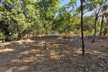 land_lot em Rua Mário Finotelli, Chácara Recreio Floresta - Jaguariúna - SP