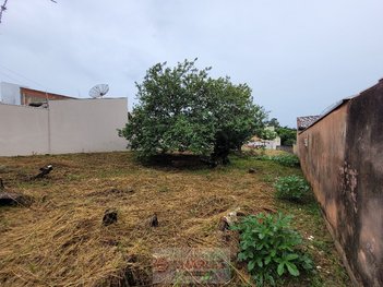 land_lot em Avenida Carolina Mazotti, Jardim Tropical - Mogi Mirim - SP
