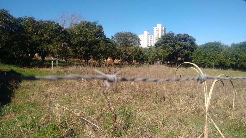02. Terreno