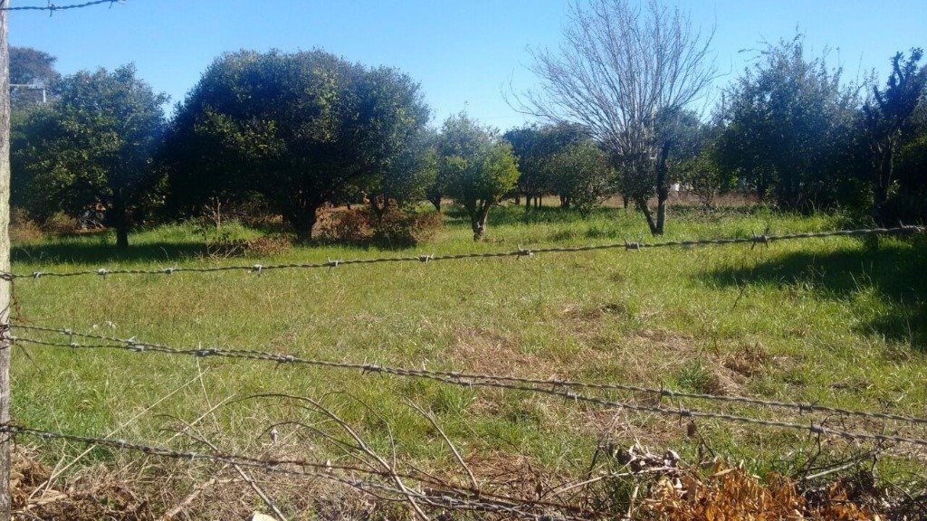 03. Terreno