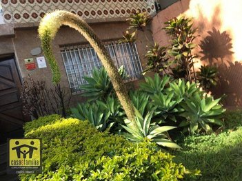 house em Rua Santa Cruz, Vila Mariana - São Paulo - SP