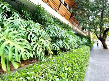 apartment em Rua Barão de Capanema, Cerqueira César - São Paulo - SP