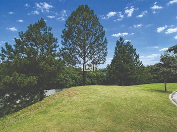 land_lot em Alameda das Congonhas, Granja Viana - Carapicuíba - SP