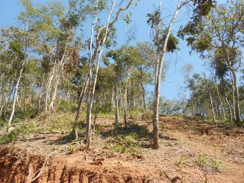land_lot em Estrada União e Indústria, Nogueira - Petrópolis - RJ