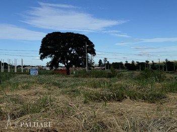 land_lot em Rua Bandeirantes, Paiçandu - Paiçandu - PR