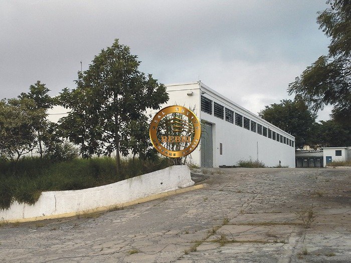 Galpao-Industrial_Sao-Bernardo-do-Campo_ref-1545 (2)