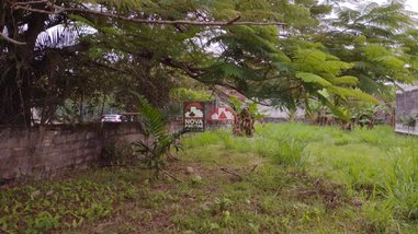 land_lot em Alameda Cosme Rangel, Jardim Brasil - Caraguatatuba - SP