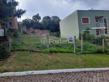 land_lot em Rodovia Tapir Rocha, São Lucas - Viamão - RS