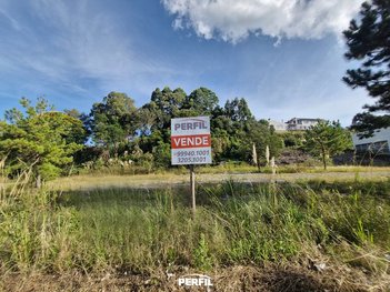 land_lot em Pedro Grendene, Volta Grande - Farroupilha - RS